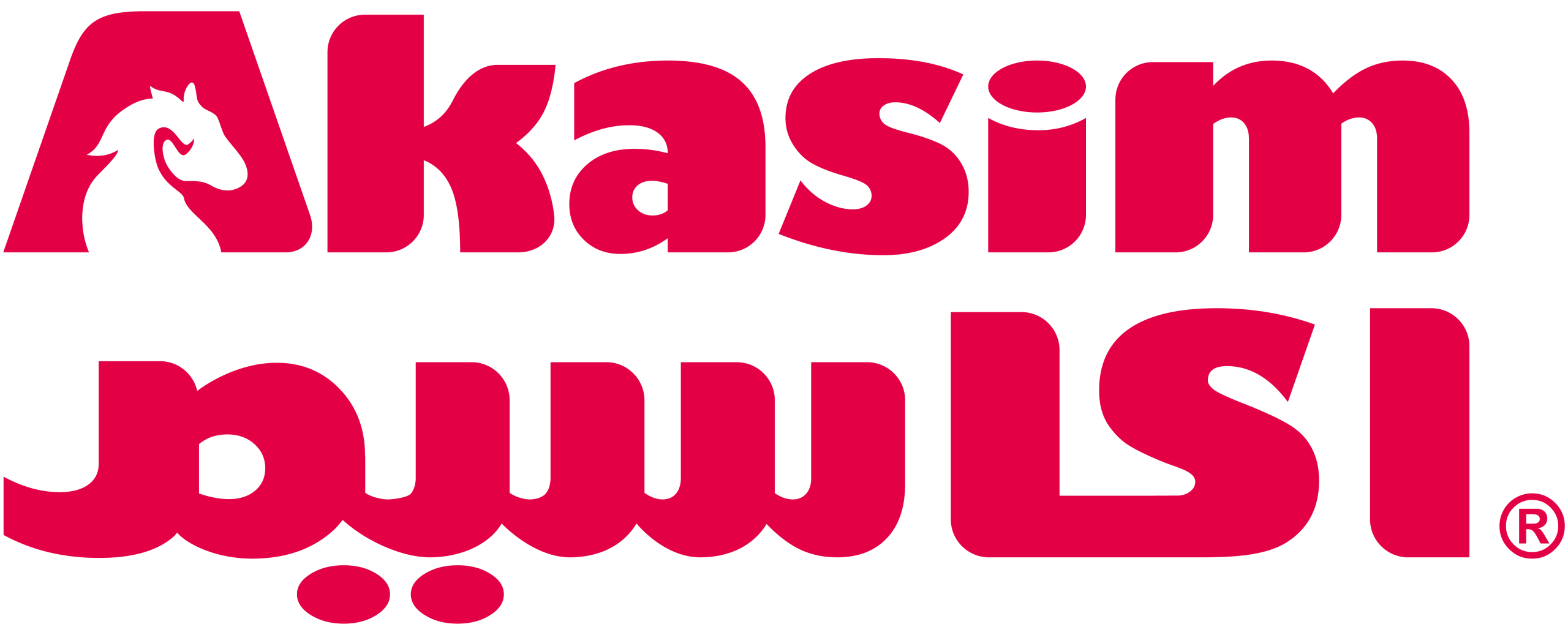 akaseem logo